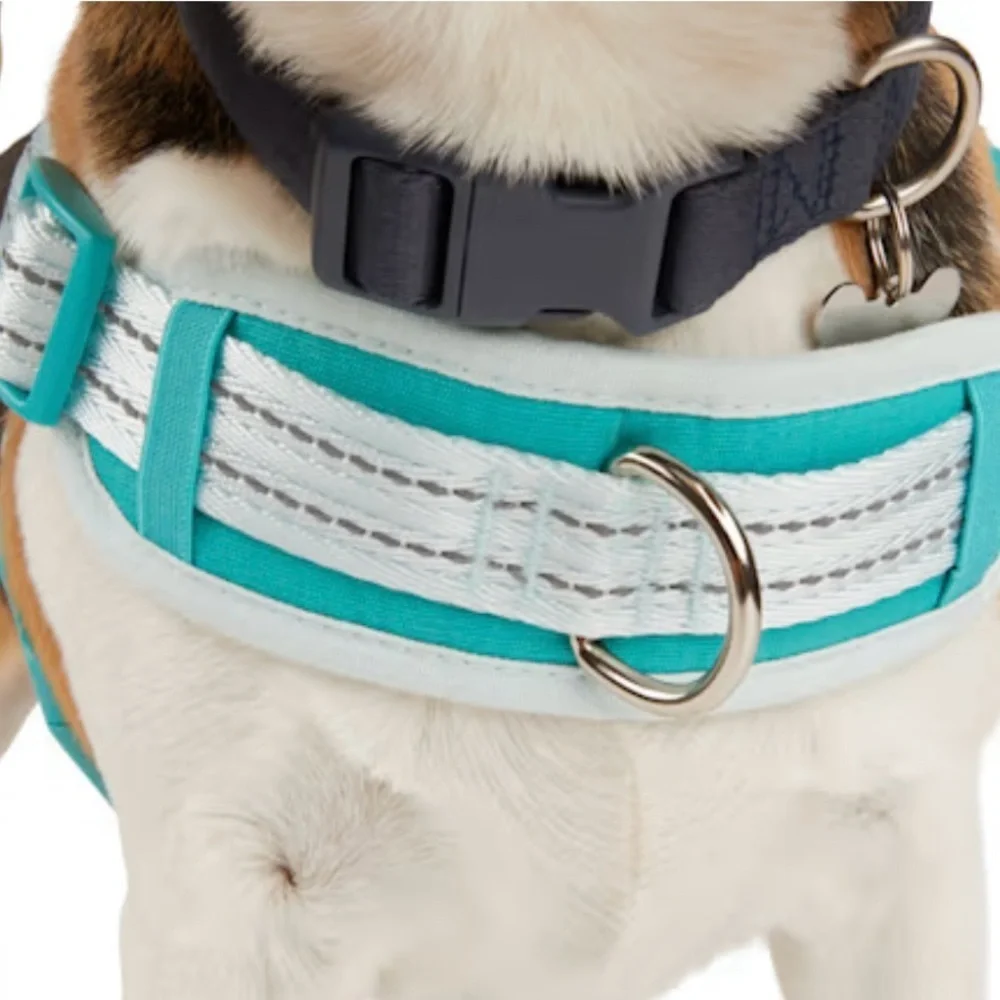 EVERYYAY Easy On Training Dog Harness in Blue - Picture 3 of 11